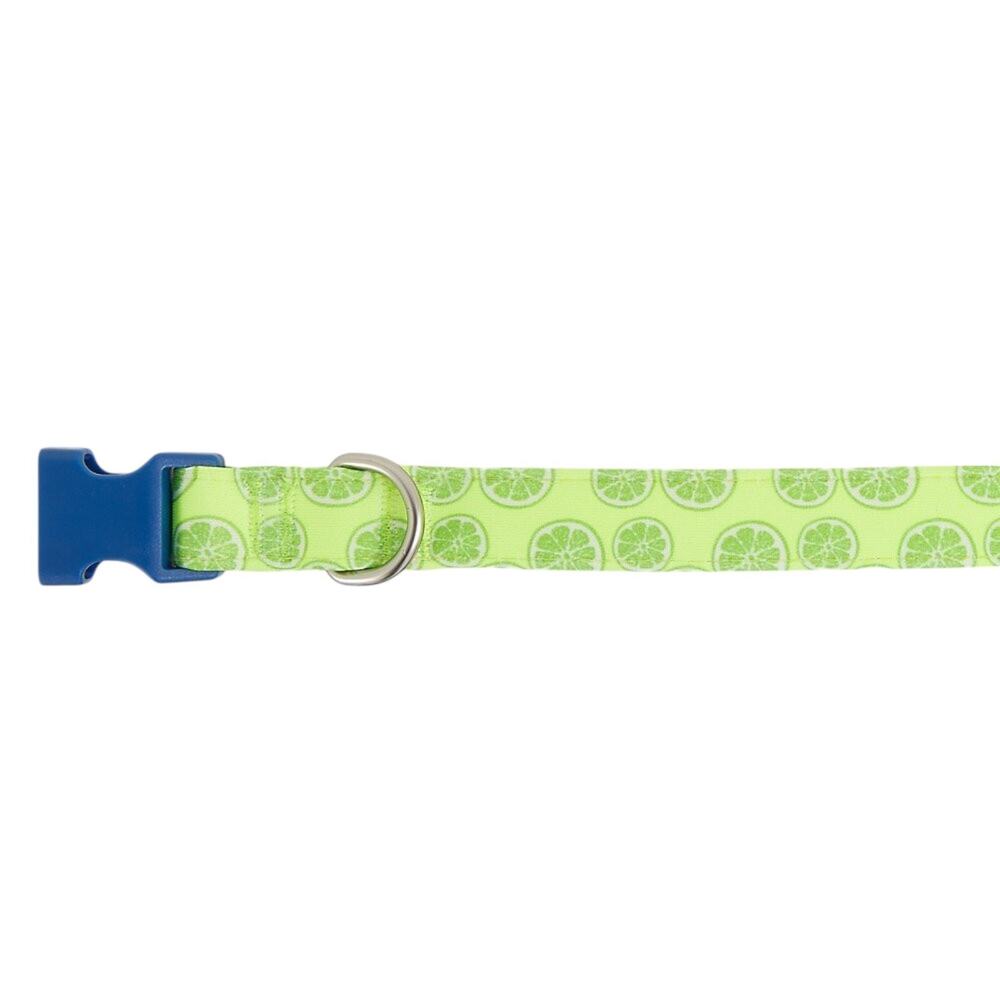Top Paw Green Limes Comfort Neoprene Dog Collar Size X-Small Adjustable